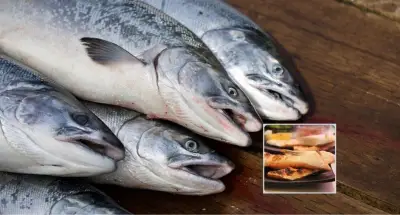 Alerta por salmón en Semana Santa: el pescado más venenoso del mundo es común en Colombia