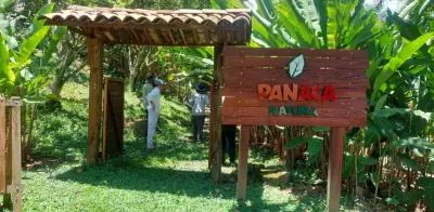 Anla aprueba plan ambiental para Territorio Panaca en Quindío, dando luz verde a proyecto turístico sostenible