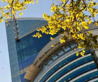 Antel de Uruguay reporta utilidades récord de US$249 millones y transfiere totalidad al Estado