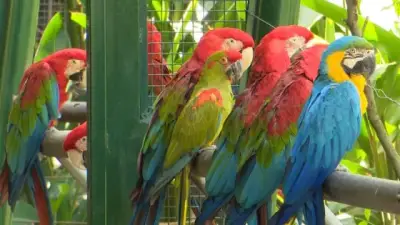 Antioquia activa plan especial para proteger fauna y flora en Semana Santa