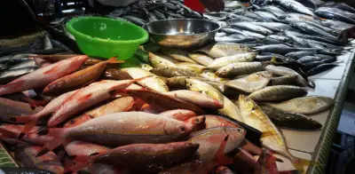 Aranceles con Ecuador generan incertidumbre en el consumo de pescado para Semana Santa en Colombia