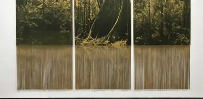 Artista colombiana Ana González expone 'RÍO' en Nueva York: un homenaje al agua y la naturaleza