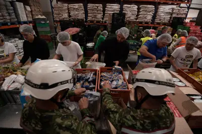 Banco de Alimentos de Bogotá incrementó 11% sus entregas en 2025 con 22,7 millones de kilos