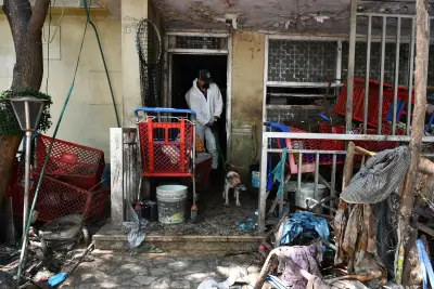 Barranquilla rescata más de 100 animales en vivienda insalubre con condiciones extremas