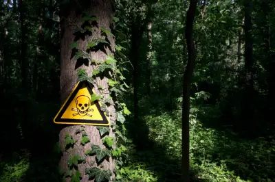 Bogotá: Alerta por veneno en calles del barrio Quirigua que amenaza a perros y niños