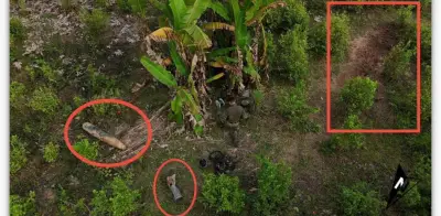 Bomba de 250 kg en frontera Colombia-Ecuador: investigación conjunta descarta tensiones bilaterales