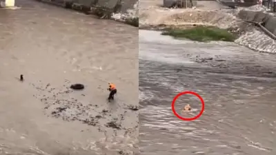 Bombero perdió la vida en Perú al intentar rescatar perrito atrapado en caudaloso río