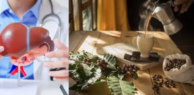 Café reduce riesgo de hígado graso y fibrosis hepática según metaanálisis internacional