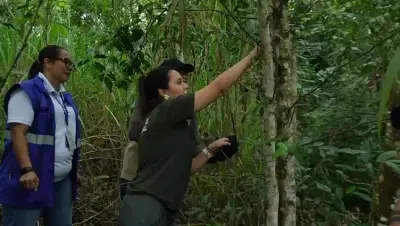 Cali libera 32 animales silvestres recuperados en el Día Mundial de la Vida Silvestre