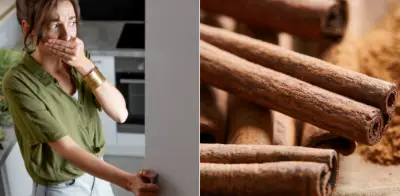 Canela en rama: el truco natural para eliminar malos olores de la nevera
