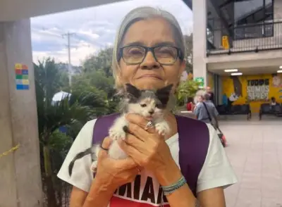 Capturan a hijo por feminicidio de animalista en Cali tras negarle dinero para drogas