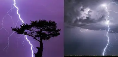 Ciencia capta por primera vez misteriosas chispas eléctricas en árboles durante tormentas