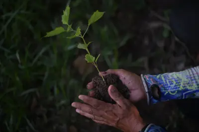 Colombia renueva alianza con Alemania, Noruega y Reino Unido para proteger bosques hasta 2030