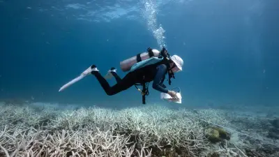 Condena a guía de buceo por muerte de turista en Cartagena: fallo judicial histórico