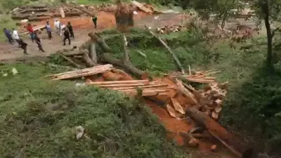 Construcciones ilegales en cerros tutelares de Medellín generan alerta en autoridades