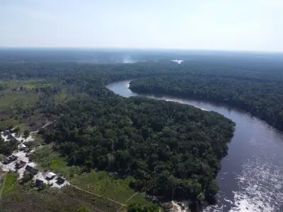 COP15 adopta plan regional para proteger bagres migratorios de la Amazonía