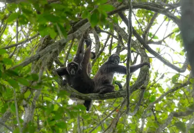De 50 vacas a un oasis: la transformación ambiental del Magdalena Medio
