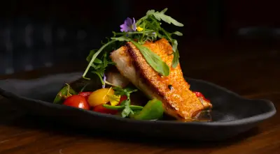 Deliciosas Recetas de Salmón para un Almuerzo Rápido y Nutritivo