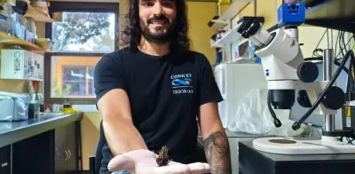 Descubren nueva especie de erizo violeta en las profundidades del Atlántico Sur