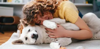 Desmitificando la edad canina: por qué la regla de los 7 años es incorrecta