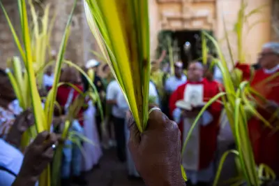 Domingo de Ramos inicia Semana Santa en Santander con alerta ambiental por palma de cera