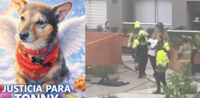 Dueño de Tonny relata el horror: su perro fue lanzado desde piso 25 en Bogotá
