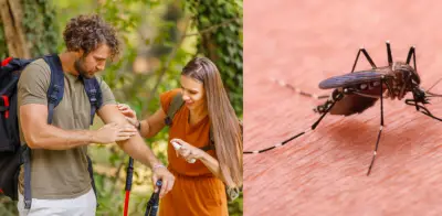 Estados Unidos emite alerta sanitaria por aumento de dengue y otras enfermedades en Colombia