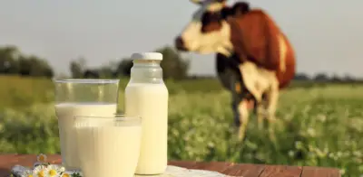 Gloria Foods reorienta su estrategia en Colombia: abandona el negocio lácteo y apuesta por bebidas