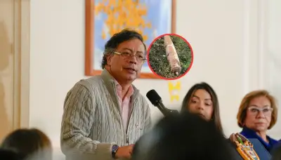 Gobierno colombiano enviará nota de protesta a Ecuador por bomba hallada en frontera