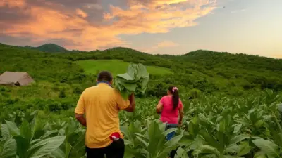 Gobierno Petro lanza plan de redistribución de tierras con compra masiva y fortalecimiento de la ANT