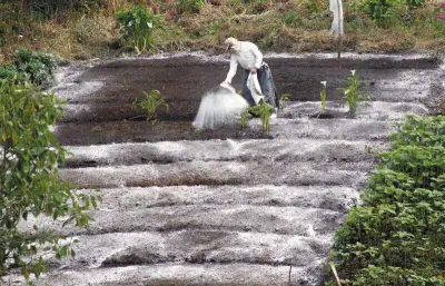 Guerra en Oriente Medio impacta precios de alimentos en Colombia