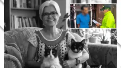 Hijo confeso de feminicidio de animalista en Cali enfrenta hasta 50 años de cárcel
