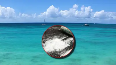 Incautan media tonelada de cocaína en operación contra narcotráfico hacia Venezuela y Caribe