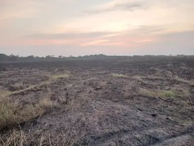 Incendio intencional arrasa 900 hectáreas del Bioparque Wisirare en Casanare