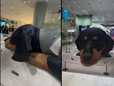 Instalación de perro salchicha gigante que respira en Bangkok genera debate global sobre arte y tecnología