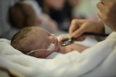 La crisis del canguro: el programa que ha salvado miles de bebés prematuros en Colombia