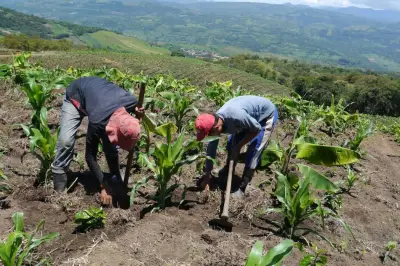 La revolución invisible: Los microorganismos del suelo como clave para la agricultura sostenible