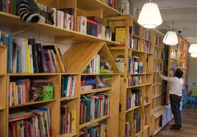 Medellín es designada Capital Mundial del Libro 2027 por la Unesco