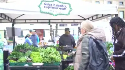 Millonaria inversión transformará la agricultura de 1.000 familias en Cundinamarca y Bogotá