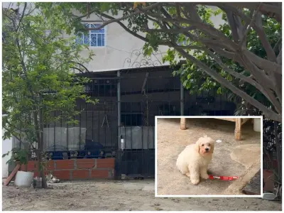 Muerte violenta de cachorro 'Lombi' en Santa Marta enfrenta dos versiones ante la Fiscalía