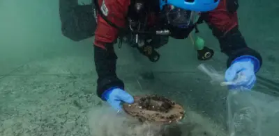 Naufragio romano en Suiza revela cargamento intacto de aceite ibérico de hace 2.000 años