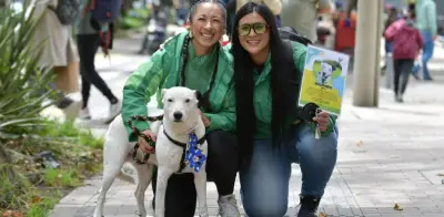 Nueva jornada de adopción animal en Bogotá: Unicentro acoge perros y gatos rescatados