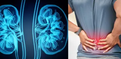 Ocho señales de alerta renal: dolor lumbar y otros síntomas que no debe ignorar