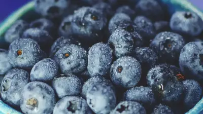Ordenan retiro inmediato de más de 25.000 kilos de arándanos congelados por contaminación