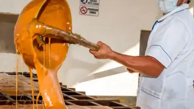 Paneleros del Sur de Santander Sufren Millonarias Pérdidas por Cortes de Energía