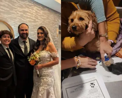 Perrita con cáncer terminal firma como testigo en boda de sus dueños en veterinaria
