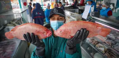 Pescados que protegen el corazón en Semana Santa según expertos colombianos