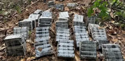 Petro afirma que exportaciones de cocaína son cada vez más ecuatorianas y pide reforzar frontera