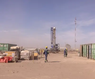 Phoenix invertirá US$6.000 millones en Vaca Muerta tras incentivos del gobierno de Milei