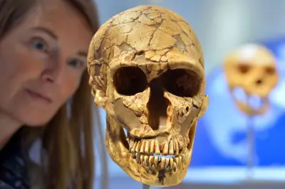 Preferencias sexuales entre neandertales y humanos modernos, clave en la evolución